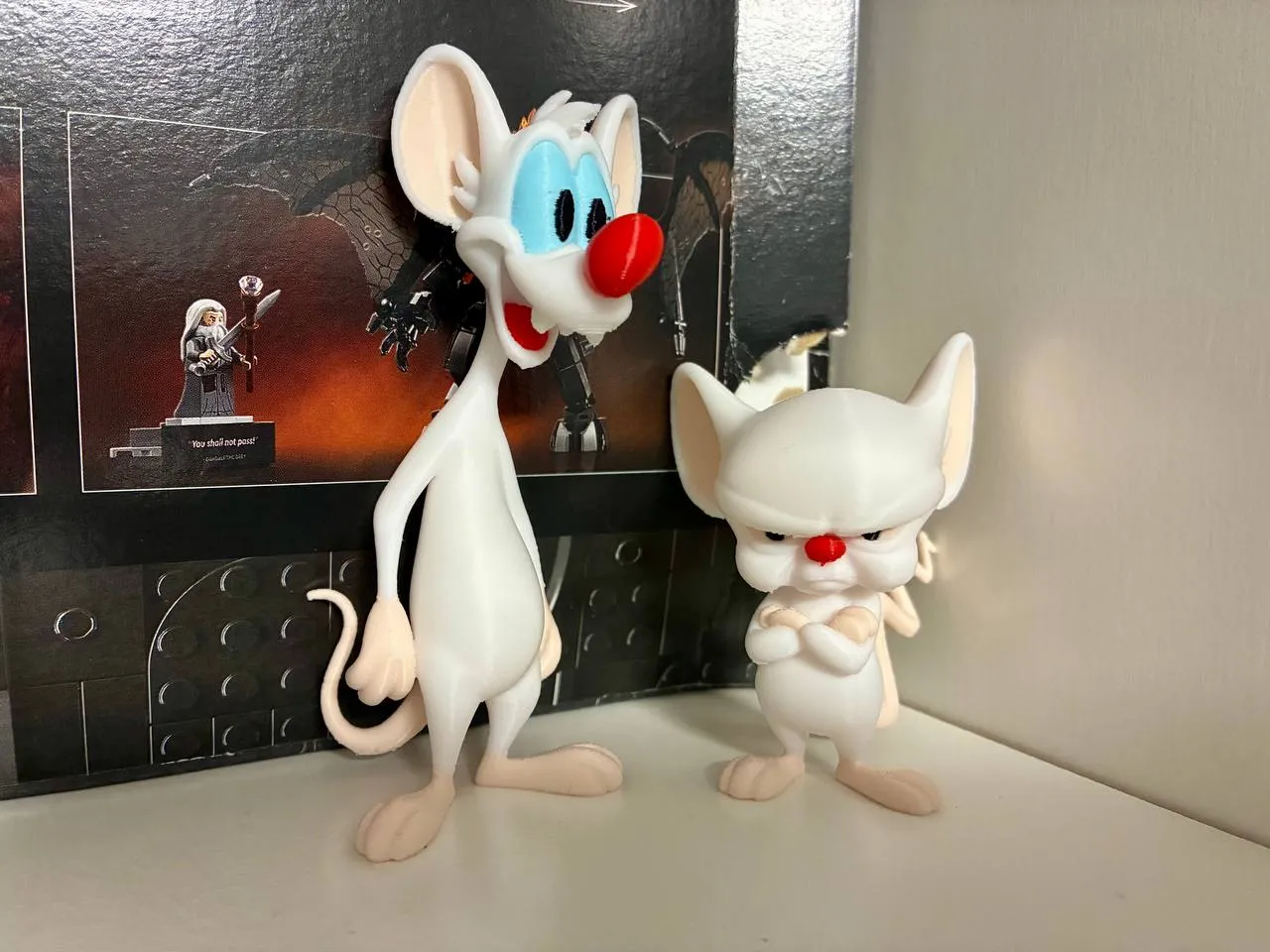 Pinky and the Brain view 2