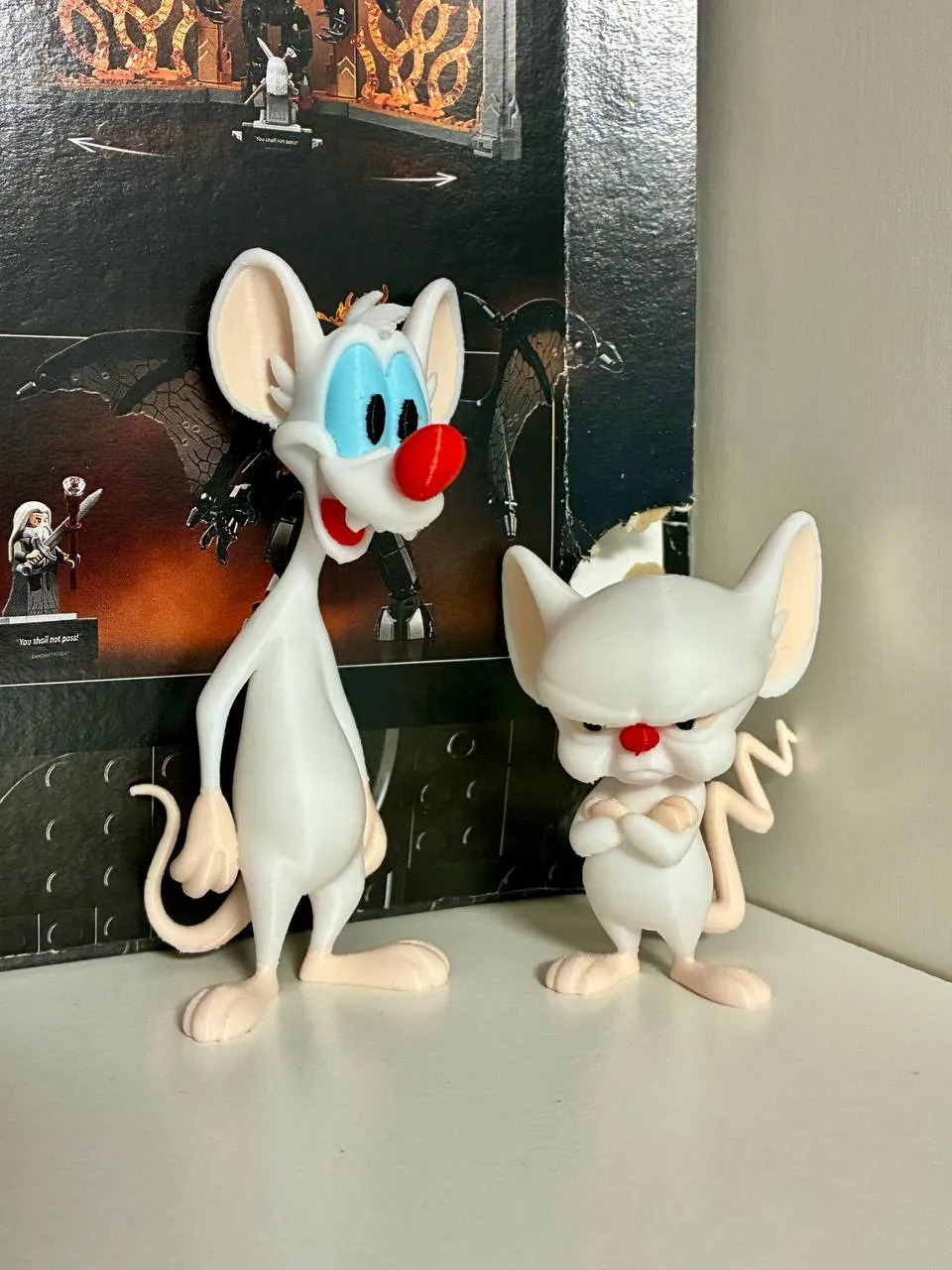 Pinky and the Brain view 3
