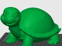 Tortue mignonne — photo 1