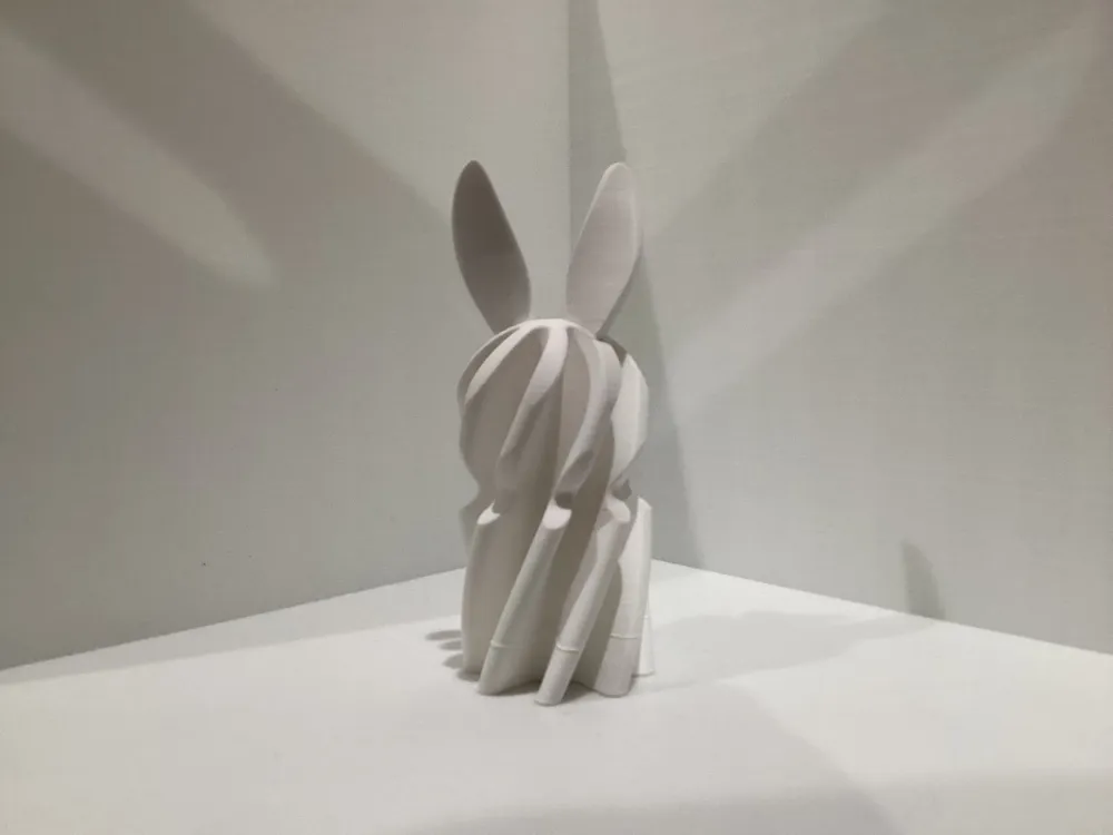 Bunny Passthrough Fidget - Free 3D Print Model - MakerWorld