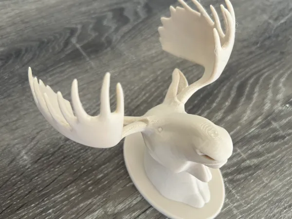 https://makerworld.bblmw.com/makerworld/model/US4e1e1c7c8c9e0e/design/2025-03-15_5b8d045a59001.jpeg