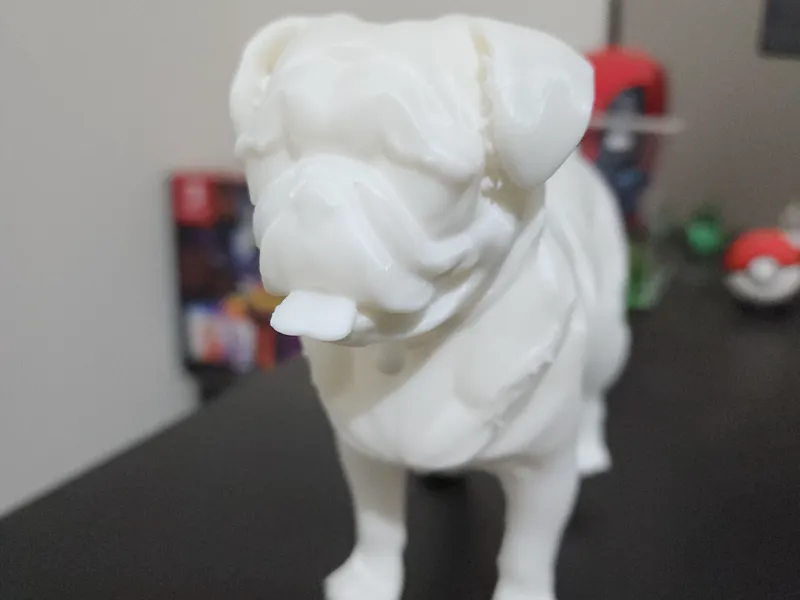 Modelo PUG