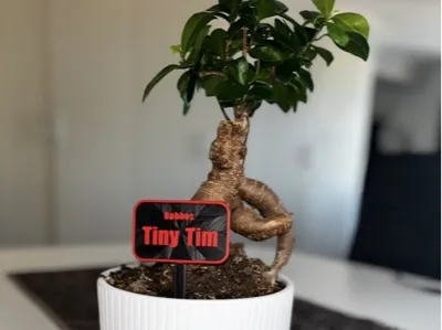Plant & Flower Sign