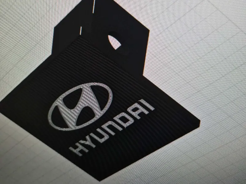 Hyundai hitch cover