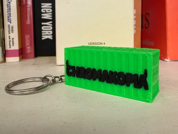 https://makerworld.bblmw.com/makerworld/model/US4e269945409251/design/2025-02-23_b945eb7a8c23.jpeg