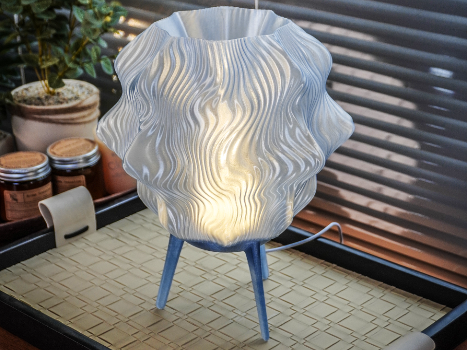 Caelora Grove Lamp – Organic Table Lamp 3D model