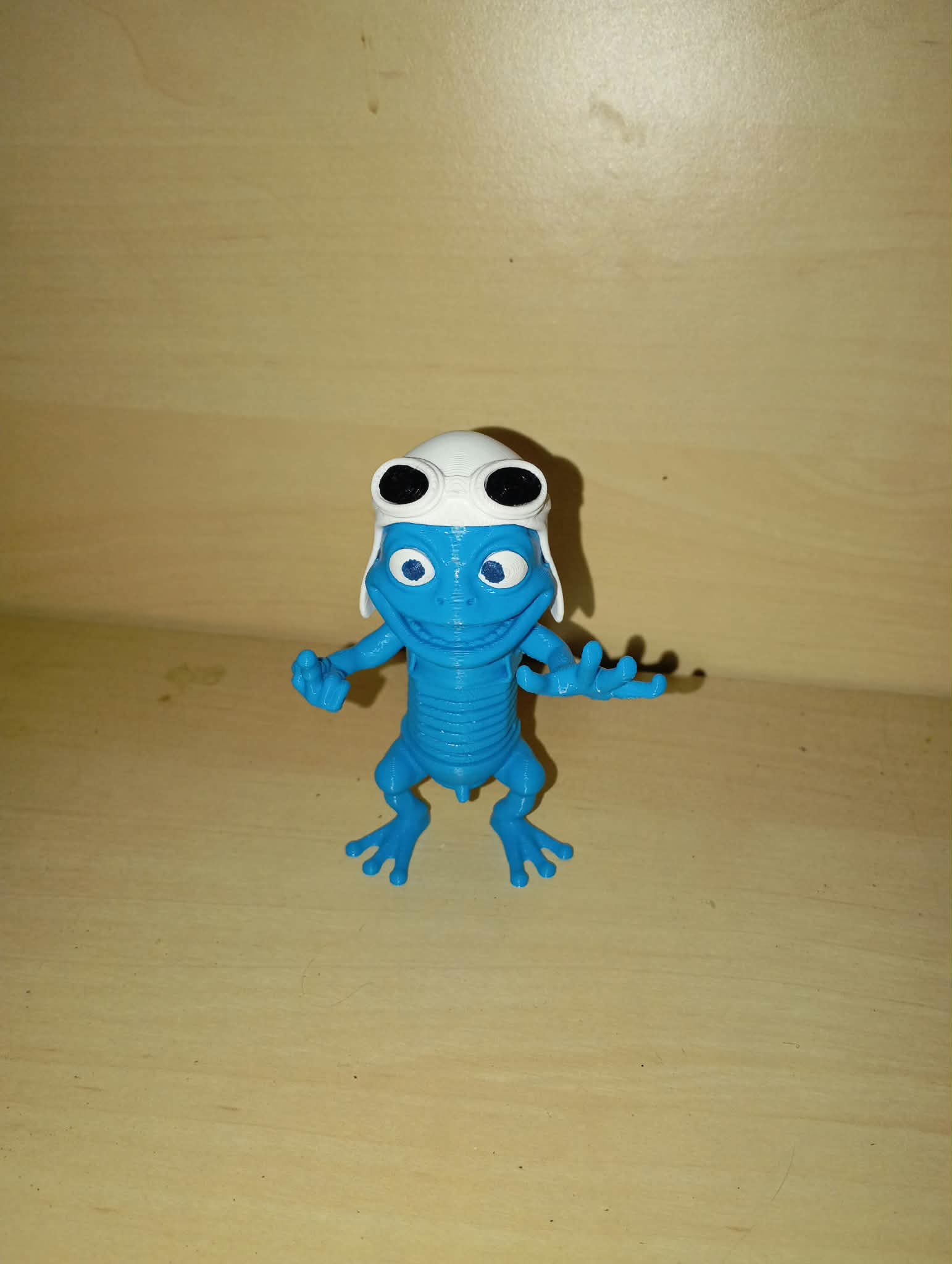 Foto 7