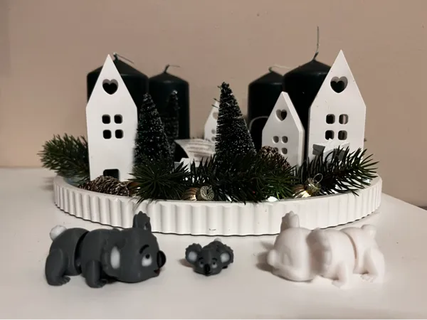 https://makerworld.bblmw.com/makerworld/model/US4e2ffb8e8b4f5e/design/2024-12-05_6fd0c40841642.jpg