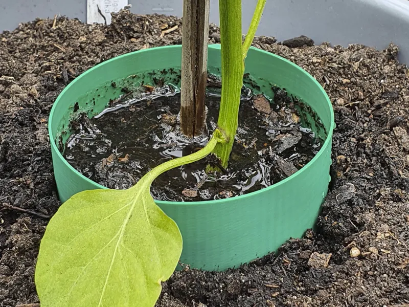 Gießring / Watering Ring - Wasser sparen im Garten