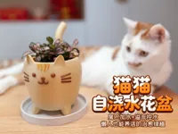 猫猫自浇水花盆-拆件版