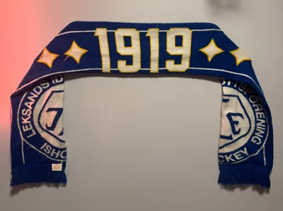 Wall-Mounted Supporter Scarf Organizer