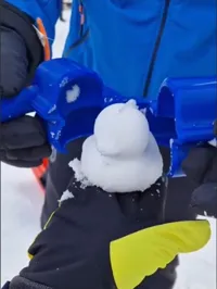 Moule à neige canard — photo 3