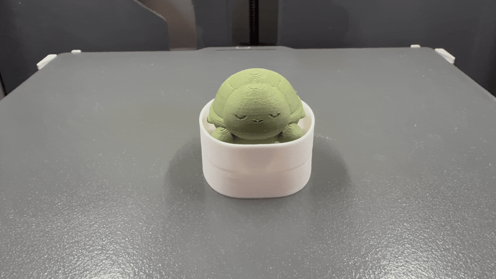 Sleepy Turtle Clicker Fidget Toy