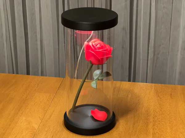 https://makerworld.bblmw.com/makerworld/model/US4e4b8228852db7/design/2025-01-24_82afd0add0e7a8.jpeg