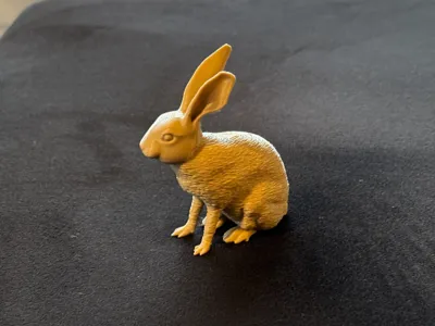 Hase