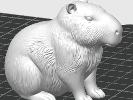 Capybara