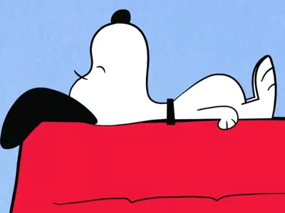 Snoopy sleeping
