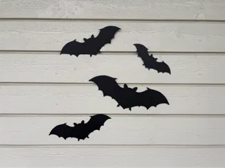 Halloween bat
