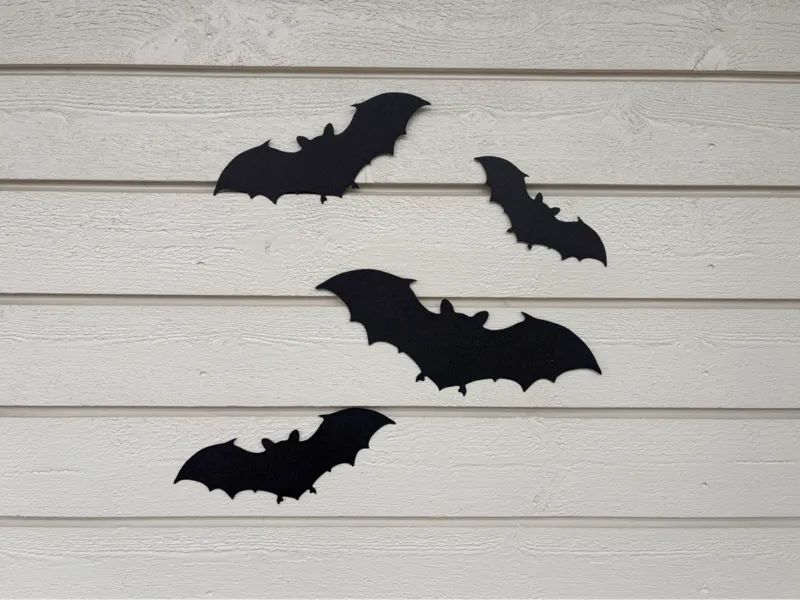 Halloween bat
