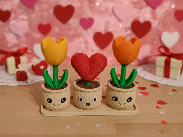 https://makerworld.bblmw.com/makerworld/model/US4e5d3df82e6342/design/81061d4400d8bc01.png