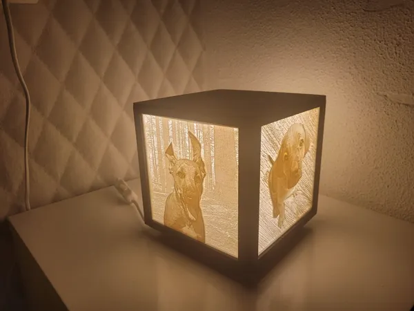 https://makerworld.bblmw.com/makerworld/model/US4e5d4f95065e8c/design/2025-11-02_bc18f8b31a005.jpeg