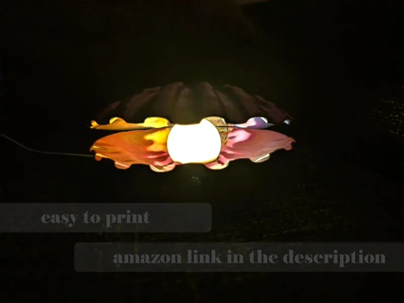 shell lamp