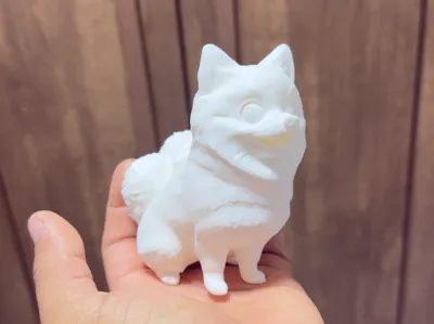 Mini Lulu Pomerania