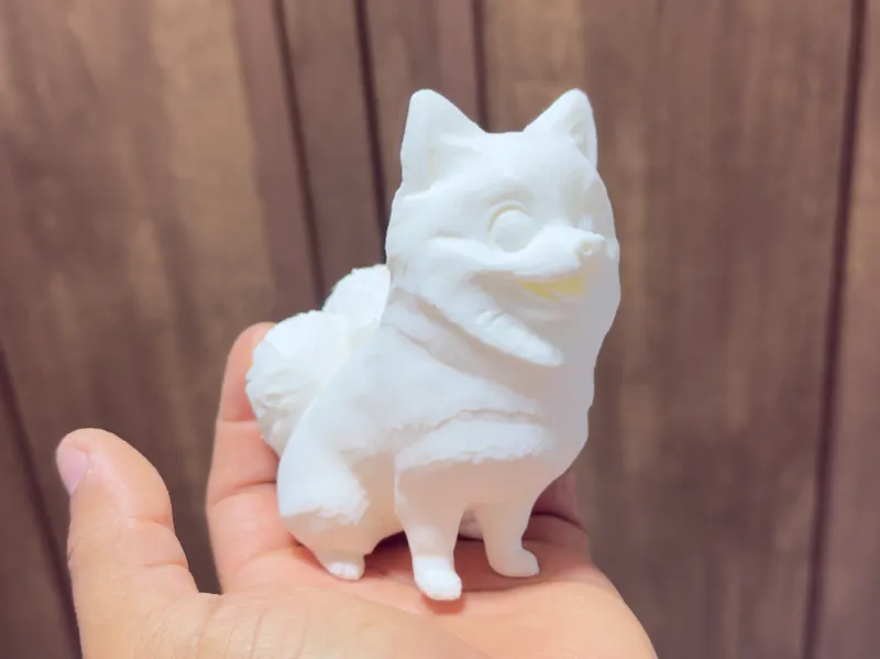 Mini Lulu Pomerania