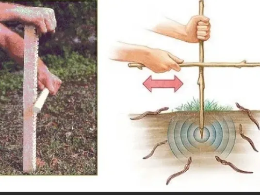Worm grunter v1