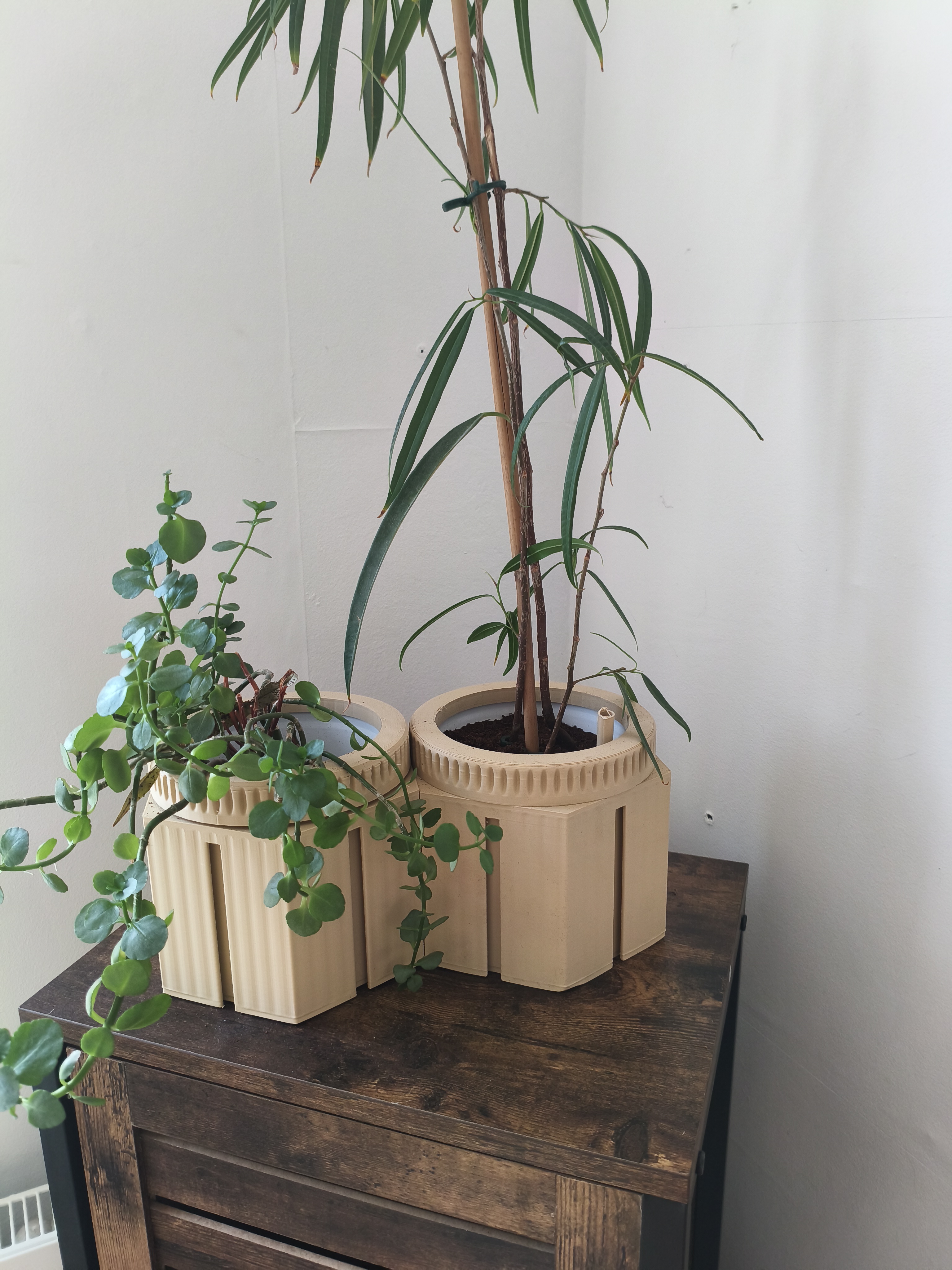 Miniatura 2 do modelo 3D Modular container planter V1