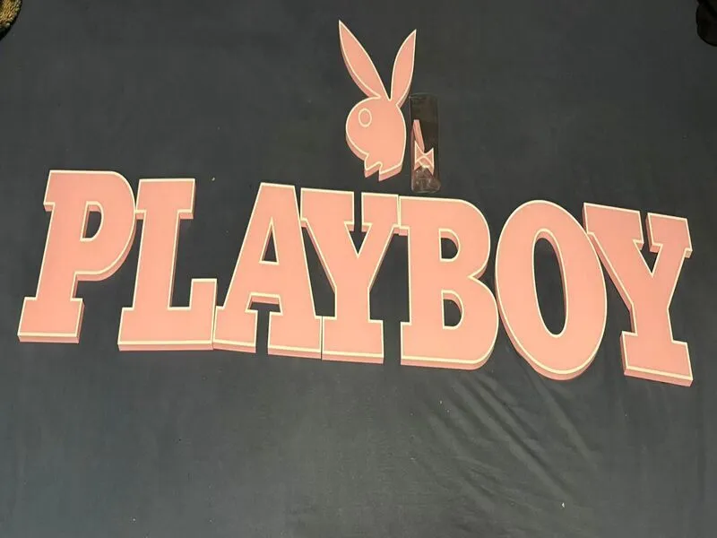 Playboy Wall logo large