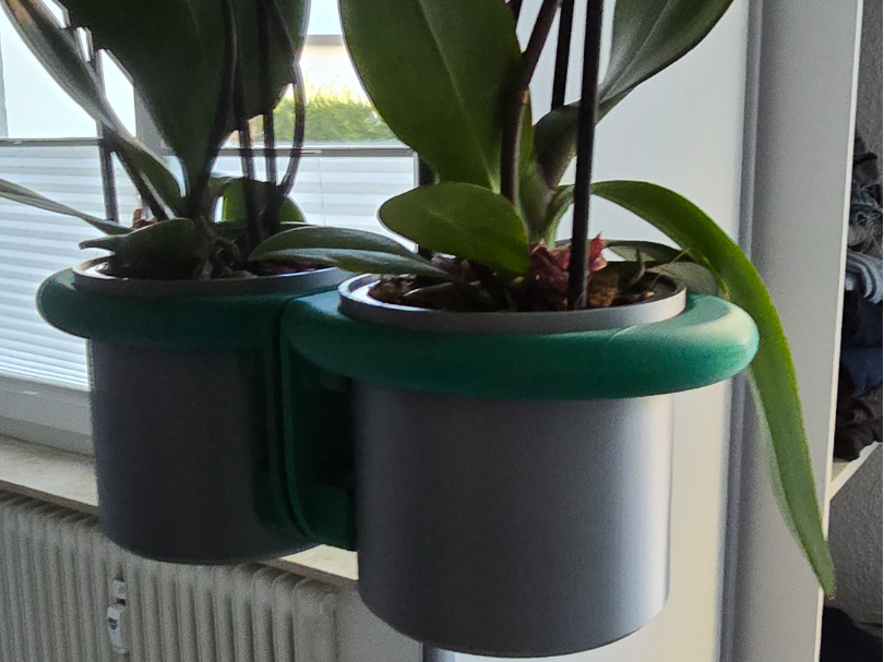 Orchideen-Wandtopf mit Halter