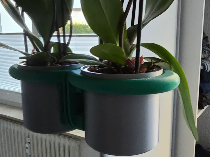 Orchideen-Wandtopf mit Halter
