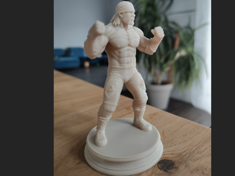 Hulk Hogan