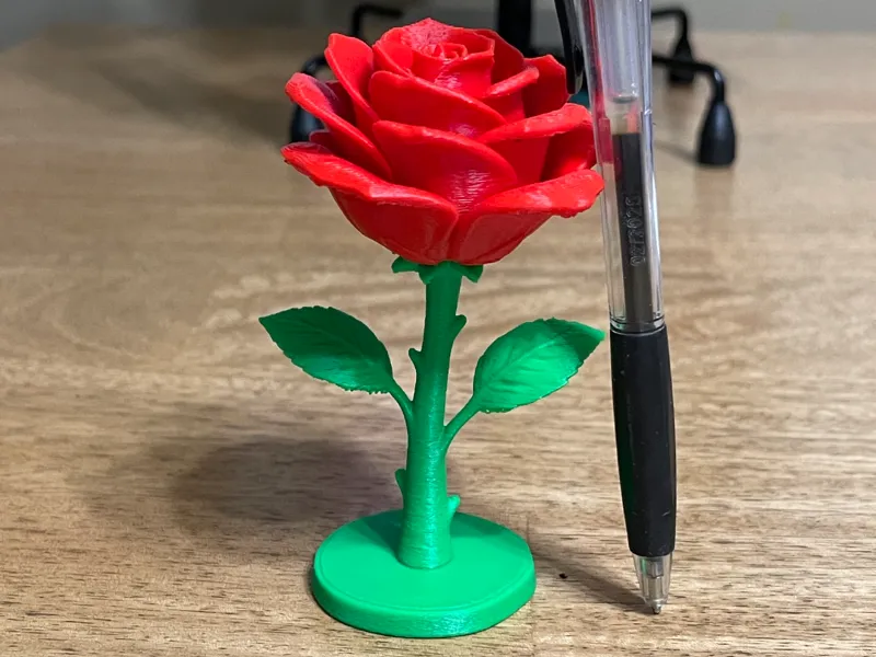 Rose on a platform