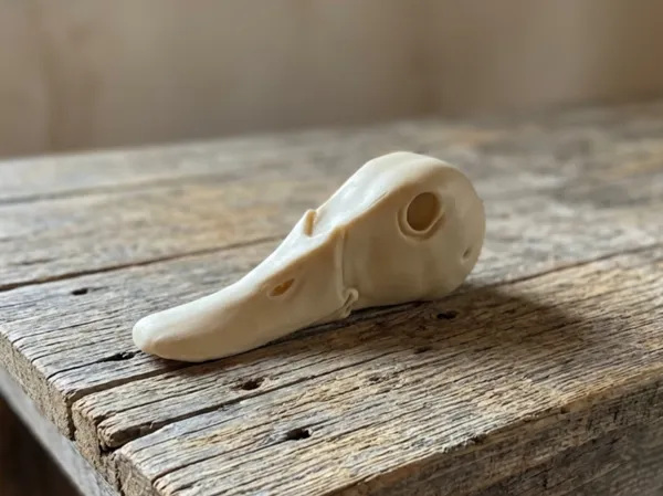 https://makerworld.bblmw.com/makerworld/model/US4e7cf5deb1e3fa/design/06e4ec9bb6128865.png