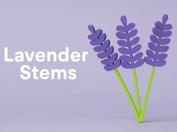 https://makerworld.bblmw.com/makerworld/model/US4e7d383165f010/design/2025-11-10_5d261b0f0fa988.png