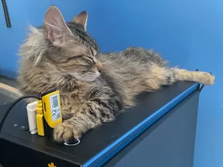 CatGuard for NZXT H710i