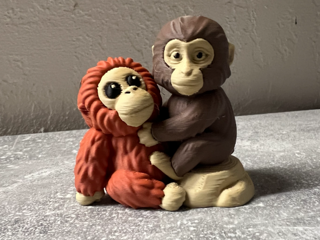 ''Punch'' - ''Punch-kun'' - Viral Monkey