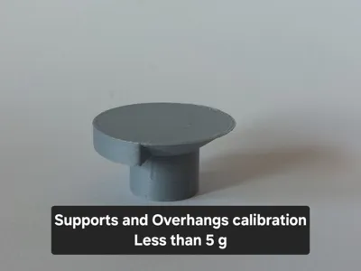 Supports and Overhangs calibration test