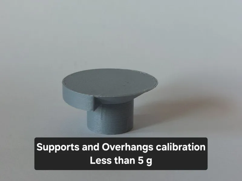 Supports and Overhangs calibration test