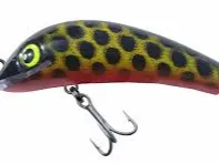 lure
