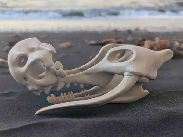 https://makerworld.bblmw.com/makerworld/model/US4e8b4066e9f902/design/2025-05-25_1062cf6cb366f8.jpg