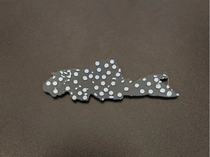 Snowball Pleco
