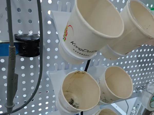 https://makerworld.bblmw.com/makerworld/model/US4e9186b74a6cf4/design/2024-09-03_a50a761a9b8ab.jpg