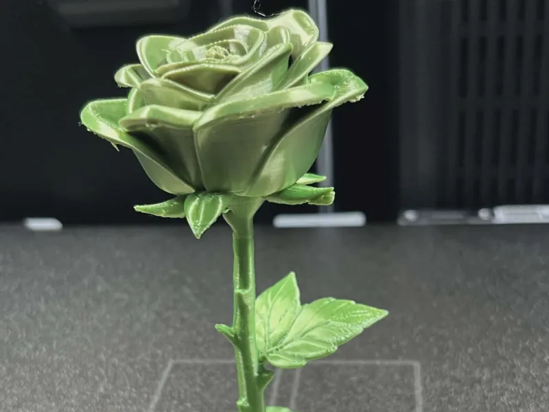 Monochrome Rose Blossom