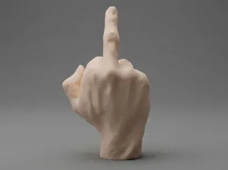 Middle Finger Hand (Funny Desk Toy / Gag Gift)