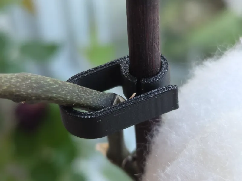 Orchid clip V1