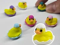 Plate of 64 ducks