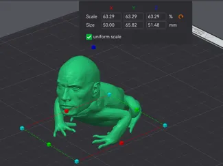 Dwayne "The Frog" Johnson - 50 mm tall variant